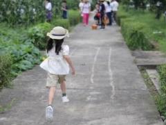 天秤座和狮子座配对指数