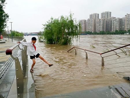 梦见朋友属龙是什么意思