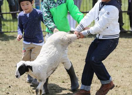 梦见被风吹起来是什么意思