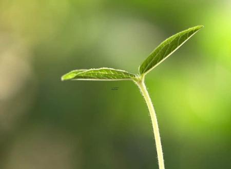 蒲玉虎名字打分和寓意「蒲玉虎姓名测试打分」