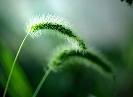 送处女座的生日礼物,处女座女生生日礼物送什么好