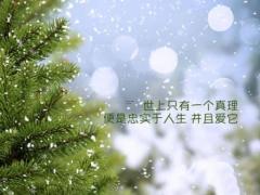 轩字的含义及五行属性,轩字的含义及五行属性是什么