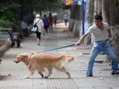 手相为什么不能暴露在网上