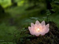 查名宝芜湖中医院,芜湖市中医院查名宝主任现场有号吗