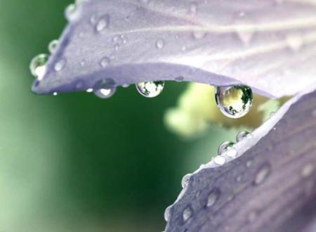 猫名字大全可爱的,猫名字大全可爱的带财运雨开头