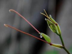 白羊座的性格特点分析,白羊座的性格特点是什么