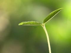 白羊男对天蝎女的感觉,白羊男对天蝎女的感觉贴吧