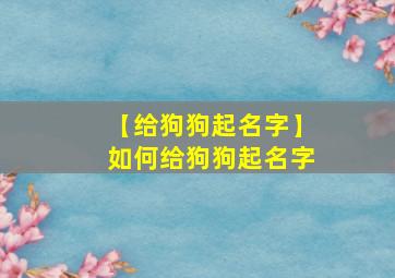 【给狗狗起名字】如何给狗狗起名字,想给狗狗起个名字什么名字最好听