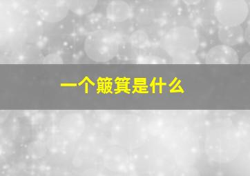 一个簸箕是什么,一个簸箕是什么命