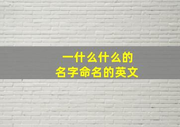 一什么什么的名字命名的英文,名字一什么什么