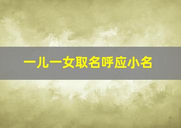 一儿一女取名呼应小名,龙凤胎的叠字小名