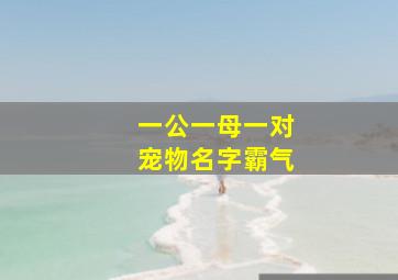 一公一母一对宠物名字霸气,宠物名字霸气冷酷霸气宠物名字大全