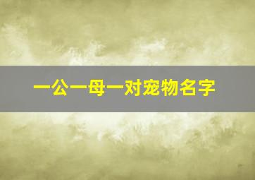 一公一母一对宠物名字,一公一母一对宠物名字大全