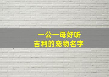 一公一母好听吉利的宠物名字,一公一母的名字大全