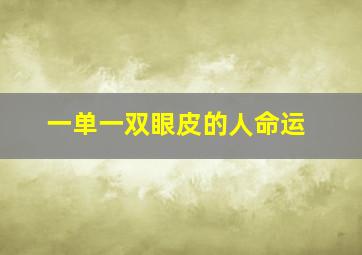 一单一双眼皮的人命运,一个双眼皮一个单眼皮是什么情况