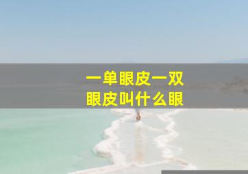 一单眼皮一双眼皮叫什么眼