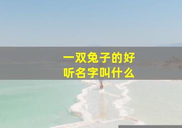 一双兔子的好听名字叫什么,一对兔子名字可爱洋气