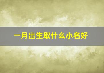 一月出生取什么小名好,一月生的小孩取什么名字