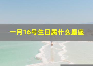 一月16号生日属什么星座,1月16日的生日是什么座