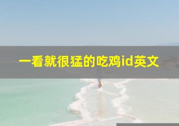 一看就很猛的吃鸡id英文,吃鸡名字英文