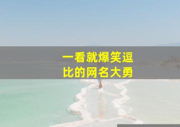 一看就爆笑逗比的网名大勇,搞怪奇葩的网名大全_适合有个性的人用