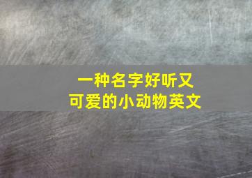 一种名字好听又可爱的小动物英文,一种名字好听又可爱的小动物英文版