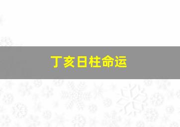 丁亥日柱命运,丁亥日柱男命运势丁亥日柱男命婚姻如何