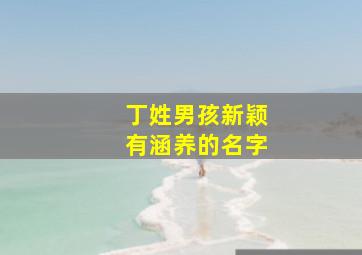 丁姓男孩新颖有涵养的名字,丁姓男孩起名100分霸气有内涵