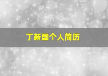 丁新国个人简历,丁新民个人资料简介