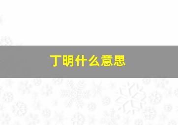 丁明什么意思,丁明浩是什么人