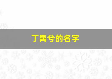 丁禹兮的名字