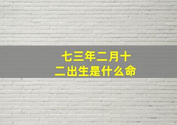 七三年二月十二出生是什么命,七二年三月出生的人