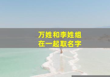 万姓和李姓组在一起取名字,爸爸姓万妈妈姓李 取个男宝宝名字