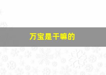 万宝是干嘛的,万宝主要生产什么