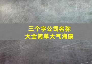 三个字公司名称大全简单大气海康,三个字的公司名称