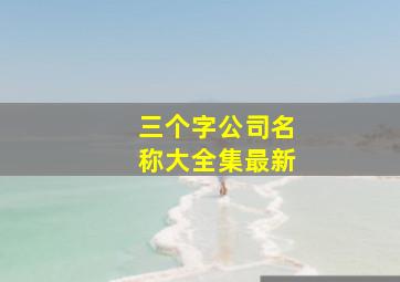 三个字公司名称大全集最新,三个字的公司名称高端三字公司名字