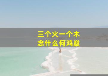 三个火一个木念什么何鸿燊,从命理和风水角度谈谈一代“赌王”何鸿燊（上）