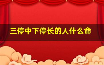 三停中下停长的人什么命,三停是哪三停