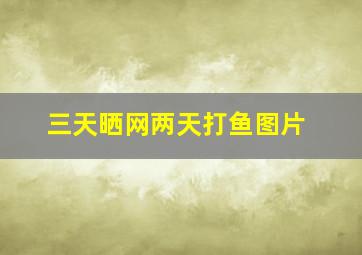 三天晒网两天打鱼图片,三天晒网两天打鱼的意思