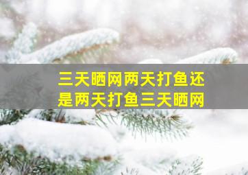 三天晒网两天打鱼还是两天打鱼三天晒网,三天打鱼两天晒网第n天是打鱼还是晒网