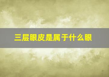 三层眼皮是属于什么眼,三层眼皮是属于什么眼形