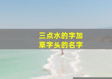 三点水的字加草字头的名字,三点水加草字头的词语