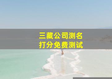 三藏公司测名打分免费测试,三藏公司测名网