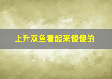 上升双鱼看起来傻傻的,上升双鱼好可爱