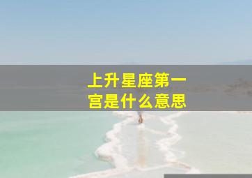 上升星座第一宫是什么意思,上升星座第一宫是什么意思啊