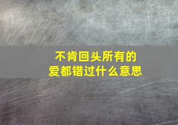 不肯回头所有的爱都错过什么意思,夜已沉默这首歌的表达的意思