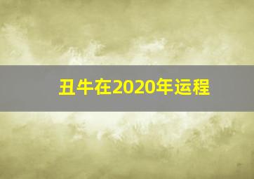 丑牛在2020年运程,十二生肖每月运势详解2020