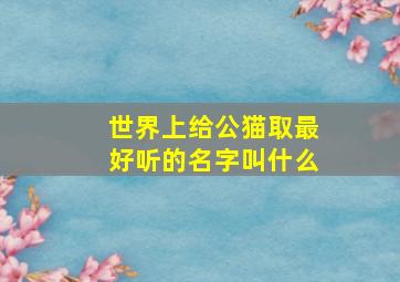 世界上给公猫取最好听的名字叫什么