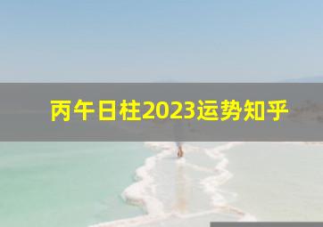 丙午日柱2023运势知乎,八字婚配甲寅日柱和丙午日柱合吗