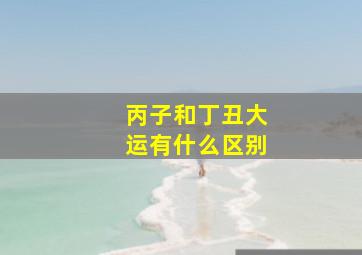 丙子和丁丑大运有什么区别,丙子干丁丑是那年